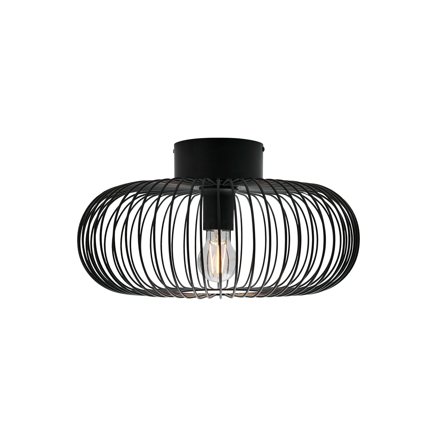Beroni Wall/Ceiling Light