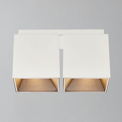 __White