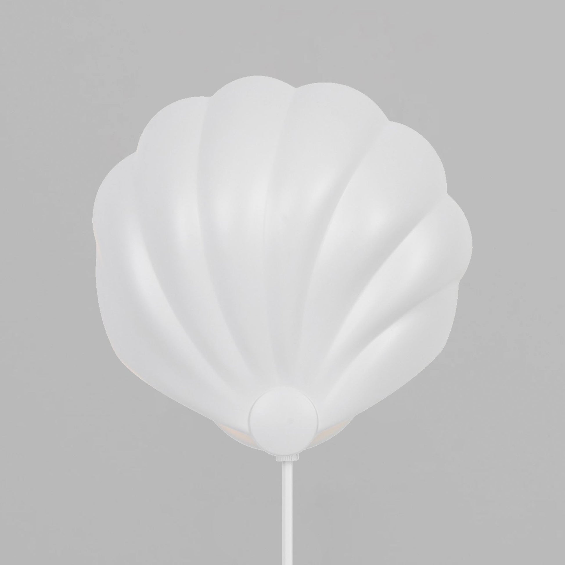 __White