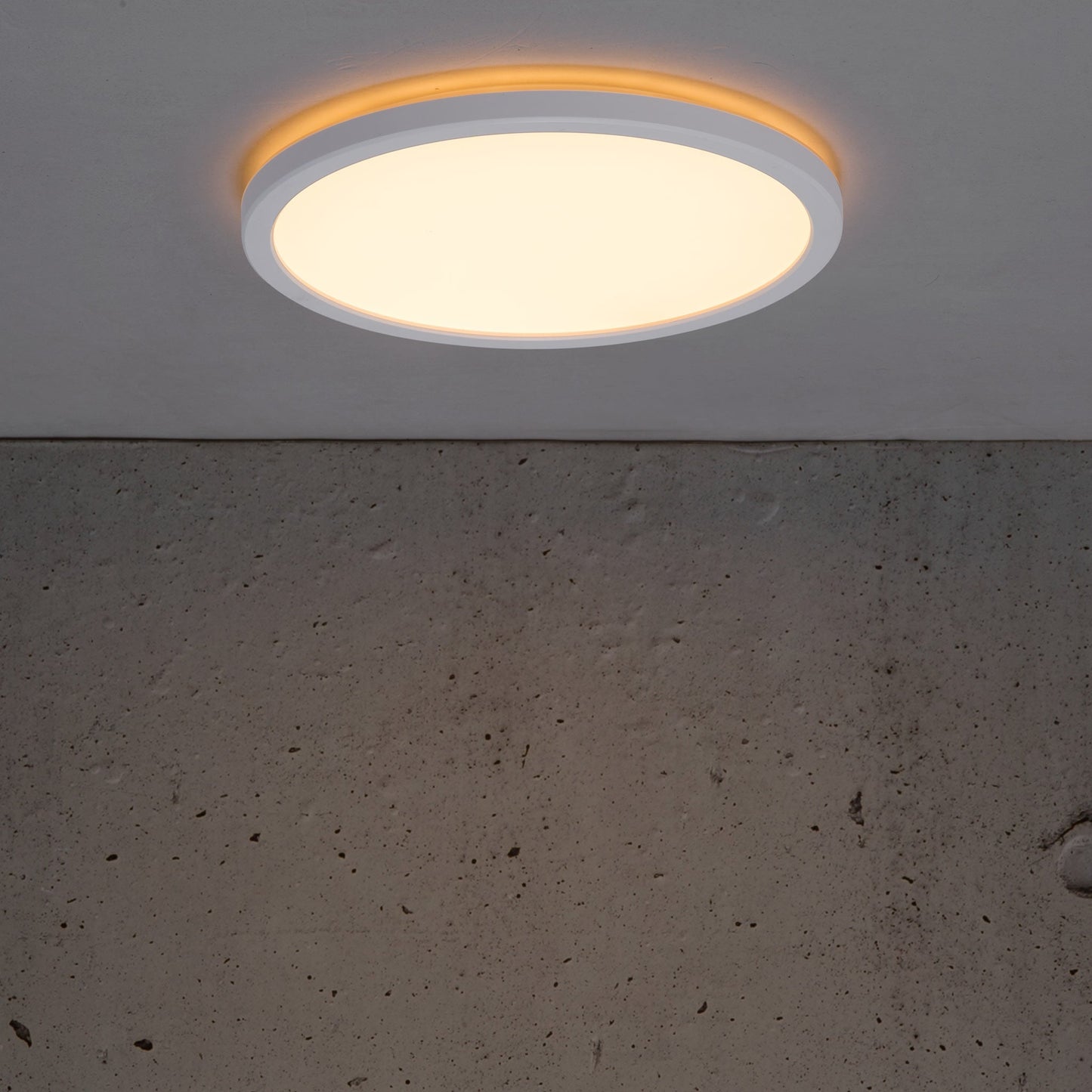 Oja 24 LED Ceiling Light