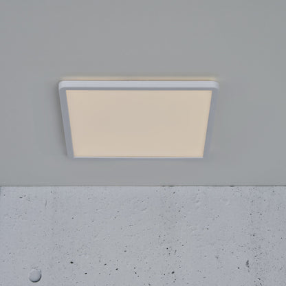 __White