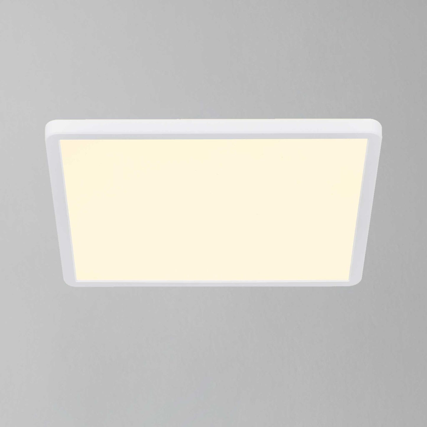 __White