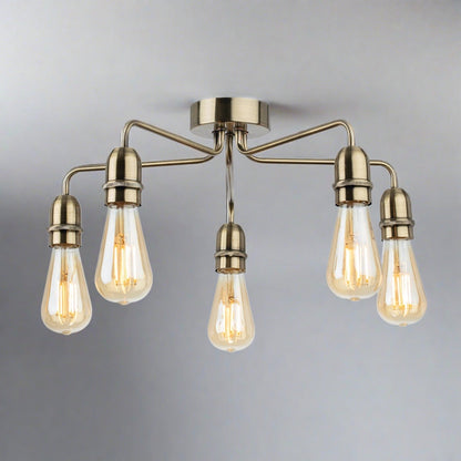 Reid 5-Light Ceiling Light